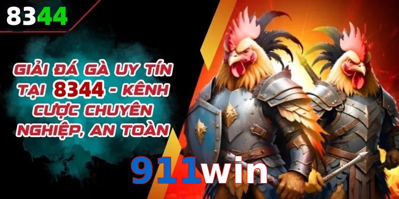Đơn vị đồng hành cùng đá gà 911win