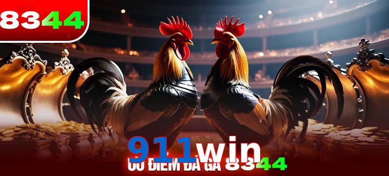 Thể loại đá gà 911win được ưa chuộng